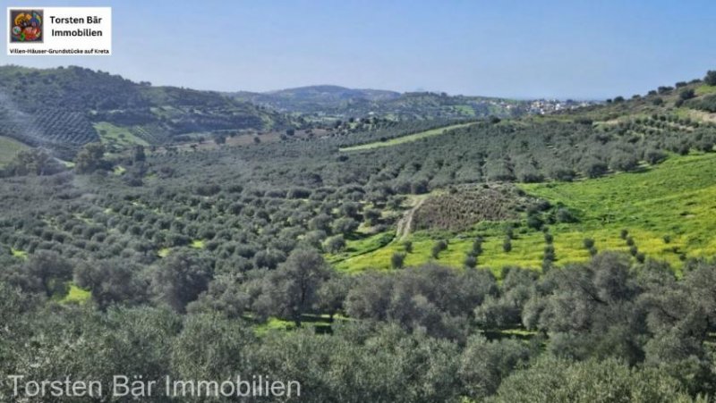 Kouses Kreta, Kouses: Baugrundstück 3.600 m² mit Baugenehmigung Grundstück kaufen